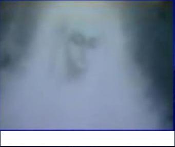 1968-1971几百万人在埃及zeitoun目睹圣母